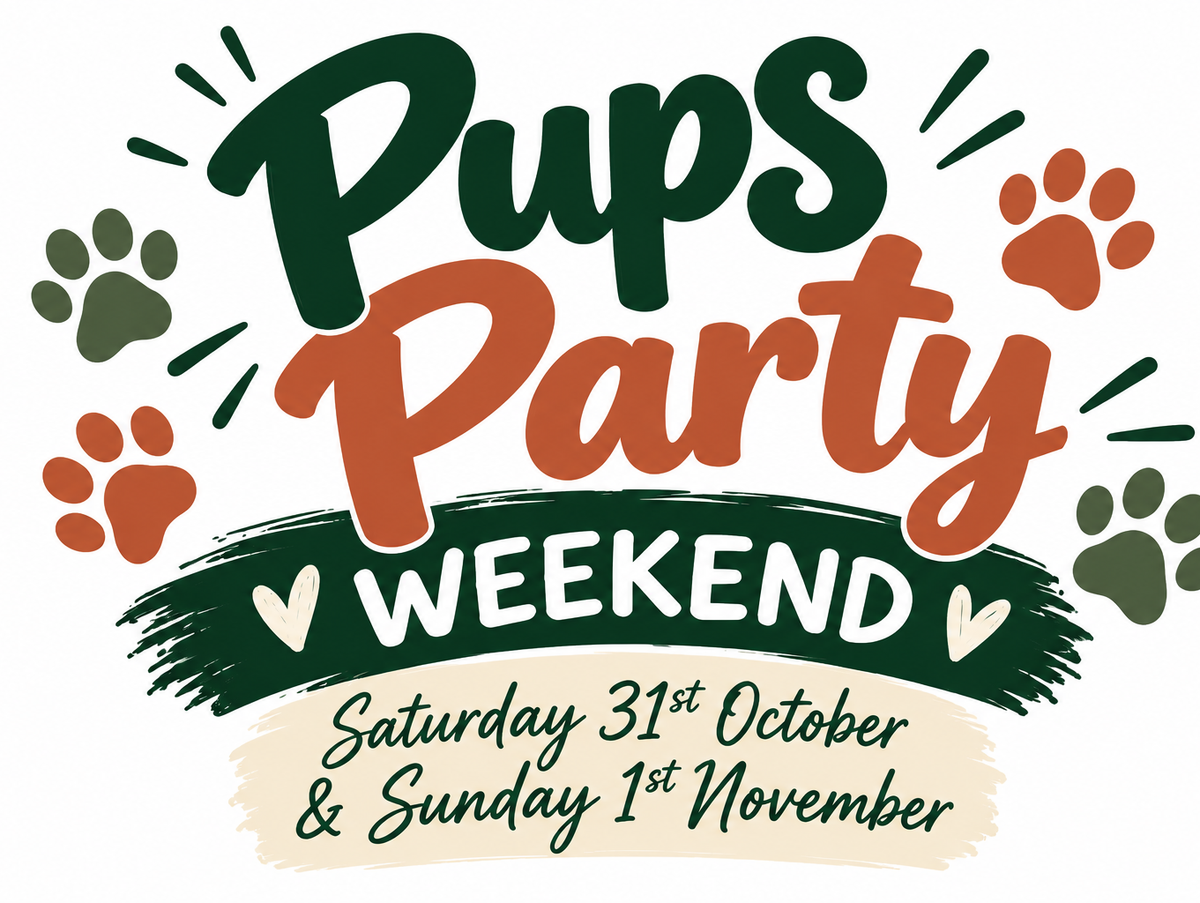 Pups Party Weekend at Country Ways Banchory – A Weekend of Four-Legged Fun