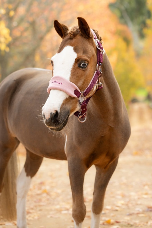 LeMieux Mini Vogue Headcollar & Leadrope AW26