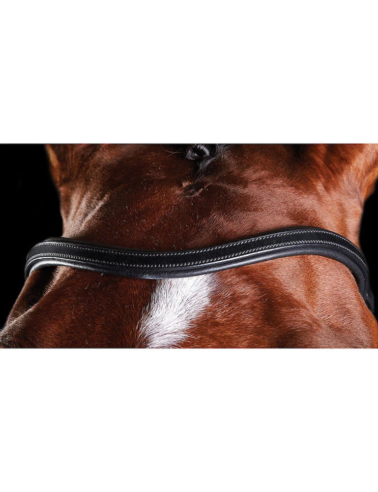 Collegiate Comfitec Training Bridle
