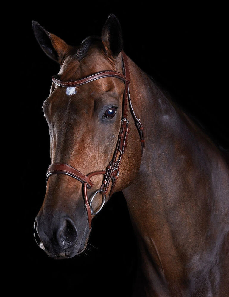 Collegiate Comfitec Training Bridle