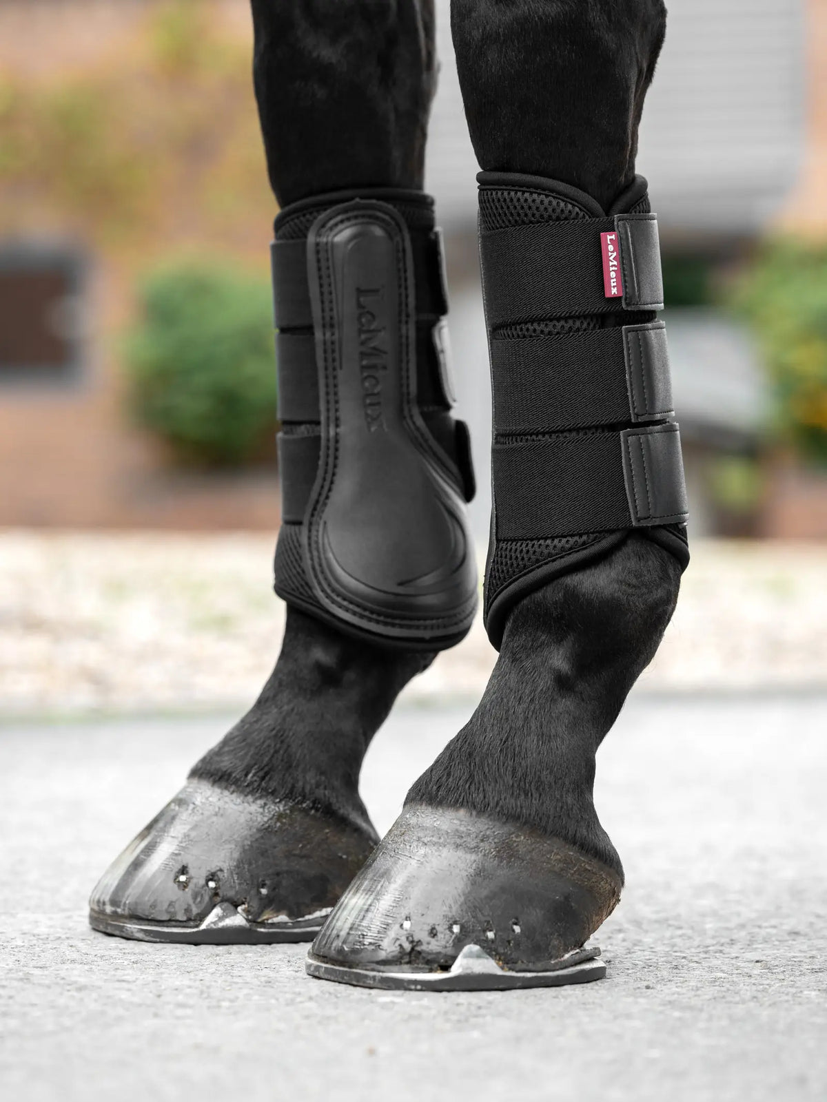 LeMieux Mesh Brushing Boots