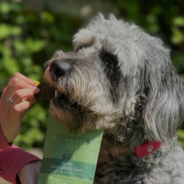 The Innocent Hound Game Picnic Bars with Rosehip & Cranberry