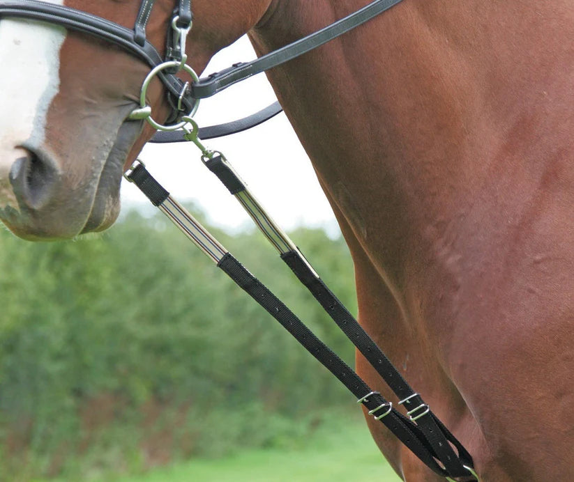Shires Blenheim The Original Harbridge Training Aid