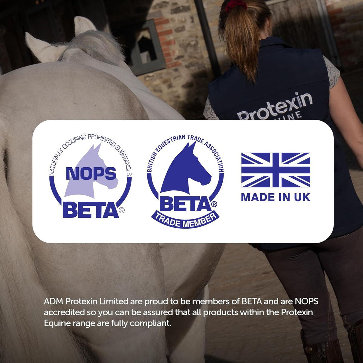 Protexin Equine Gut Balancer