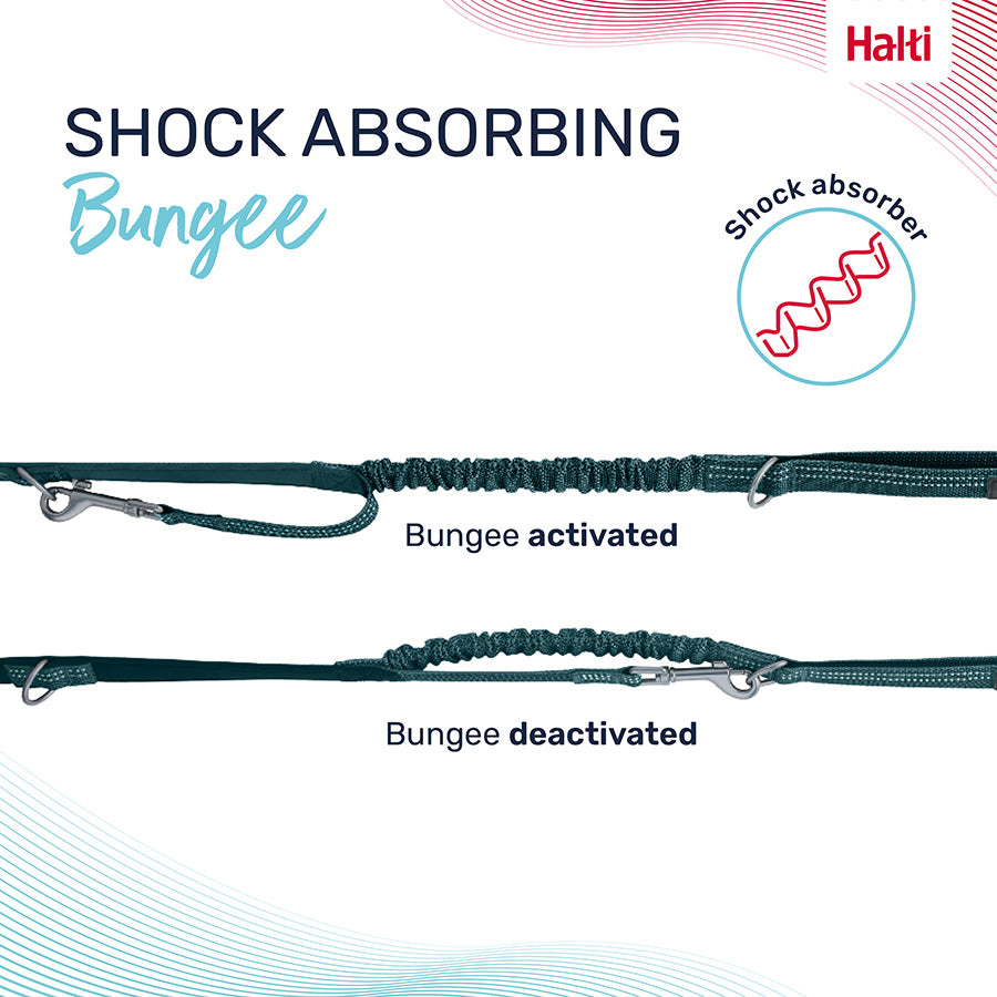 Halti Anatomy Dog Multi Lead