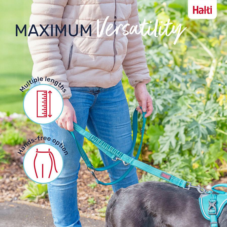 Halti Anatomy Dog Multi Lead