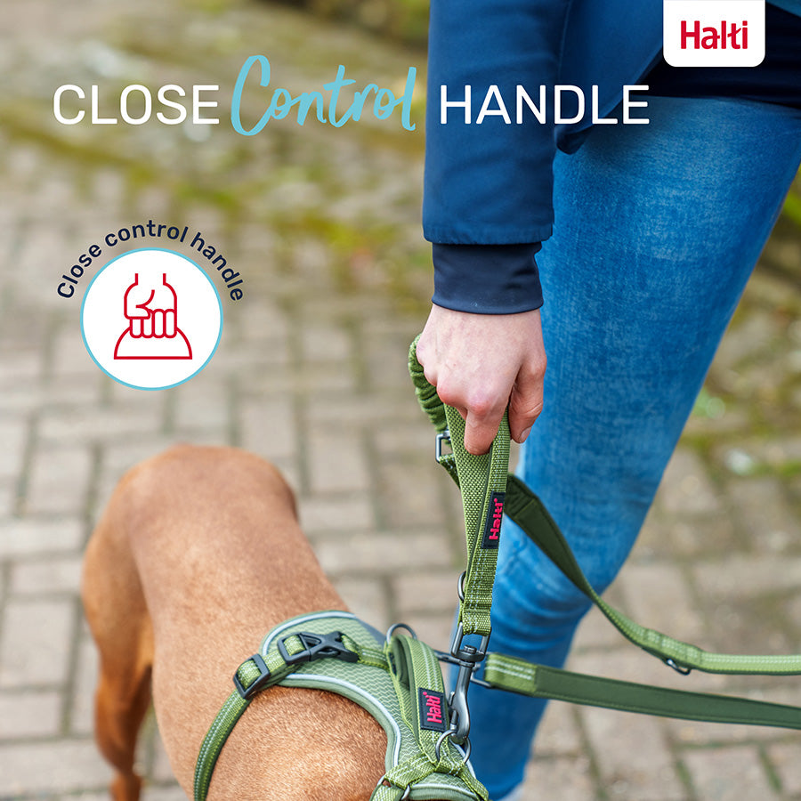 Halti Anatomy Dog Multi Lead