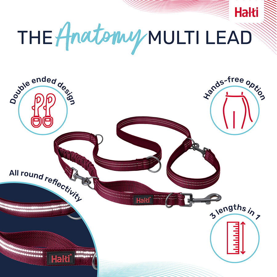 Halti Anatomy Dog Multi Lead