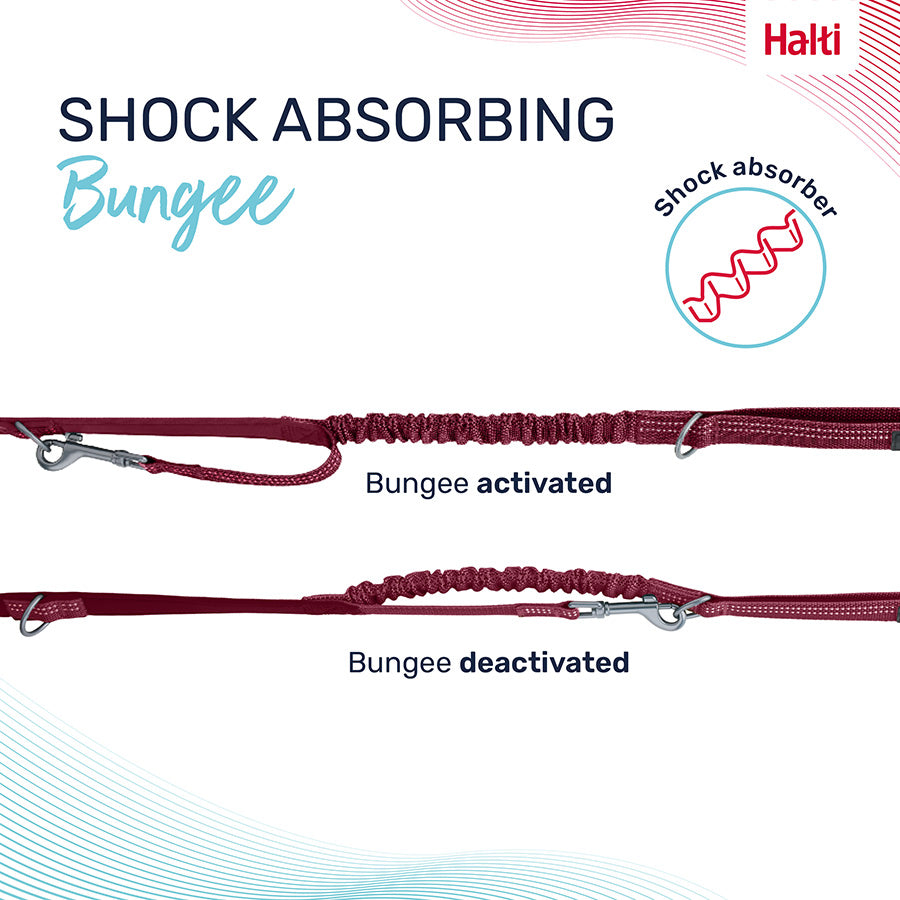 Halti Anatomy Dog Multi Lead