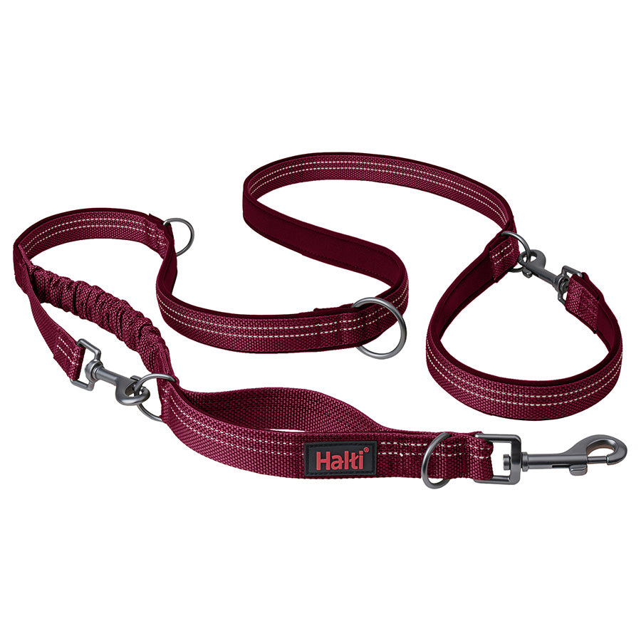 Halti Anatomy Dog Multi Lead