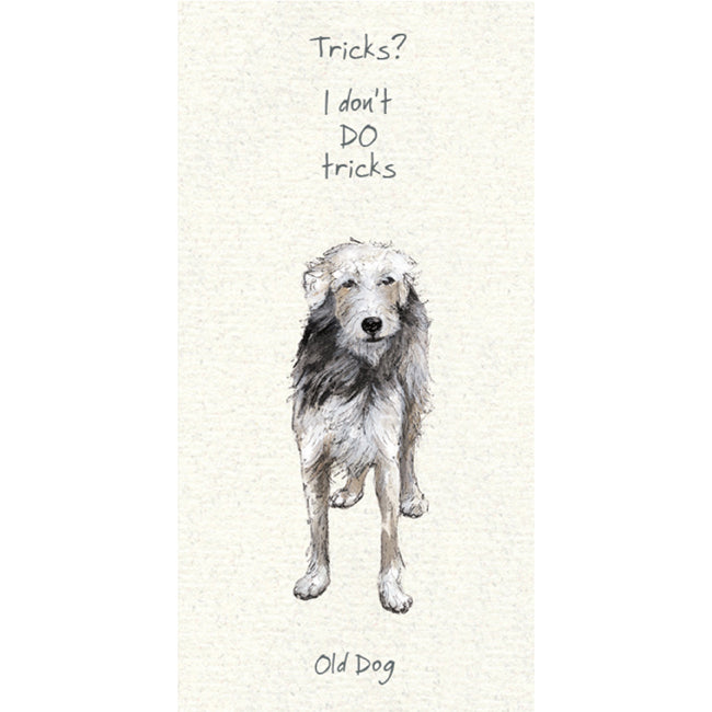 The Little Dog Laughed - Mutts & Moggies Greeting Cards - DL