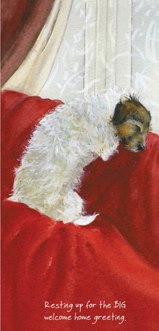 The Little Dog Laughed - Mutts & Moggies Greeting Cards - DL