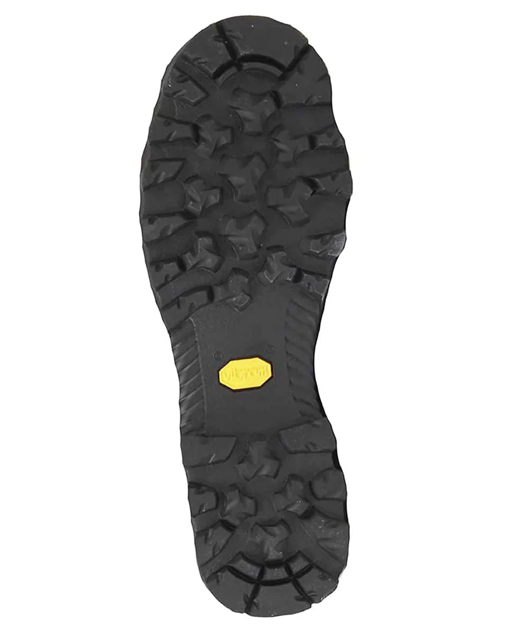 Aigle Mens Altavio Mid GTX Sepia Boot