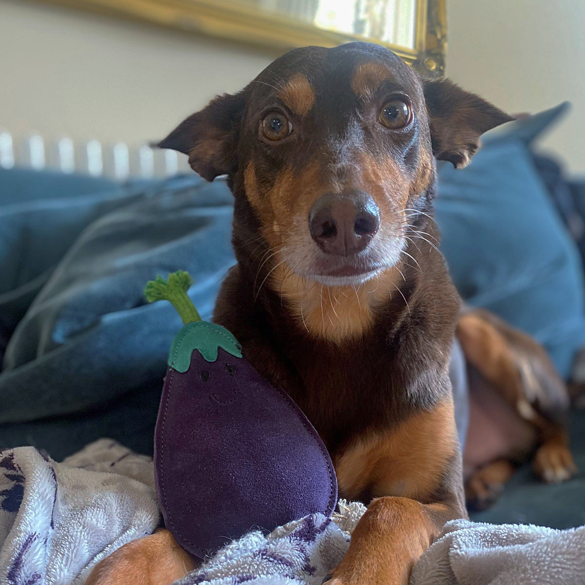 Green & Wild's Austin the Aubergine ECO Dog Toy
