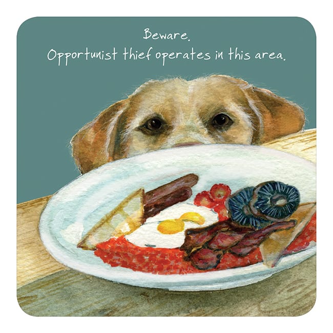 The Little Dog Laughed Coaster