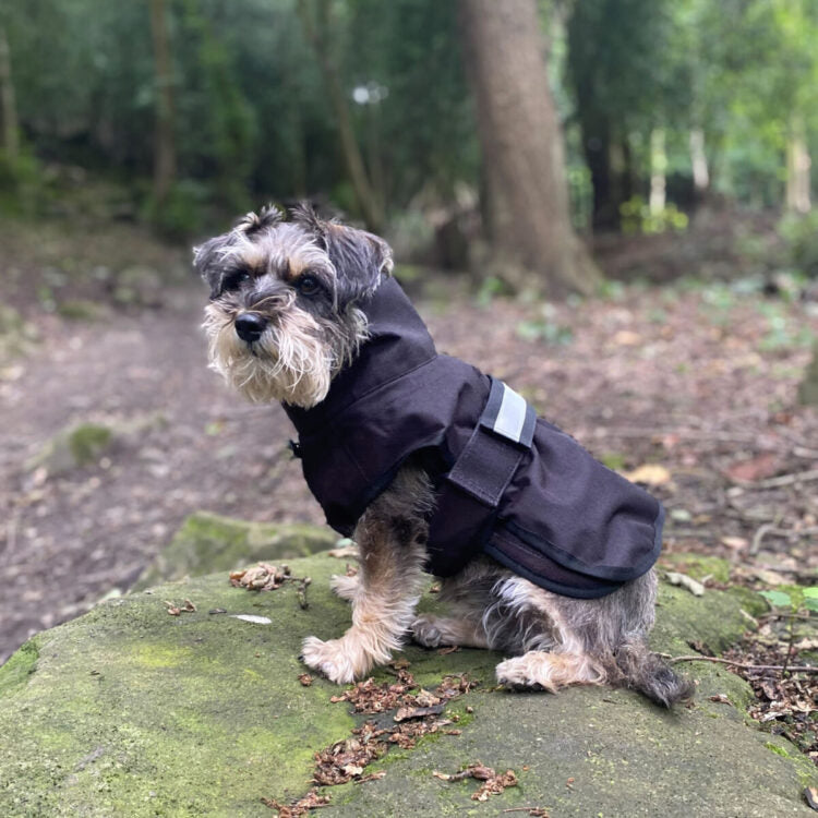 Danish Design 3-in-1 Dog Coat