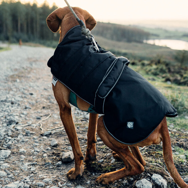 Danish Design Harness Dog Coat