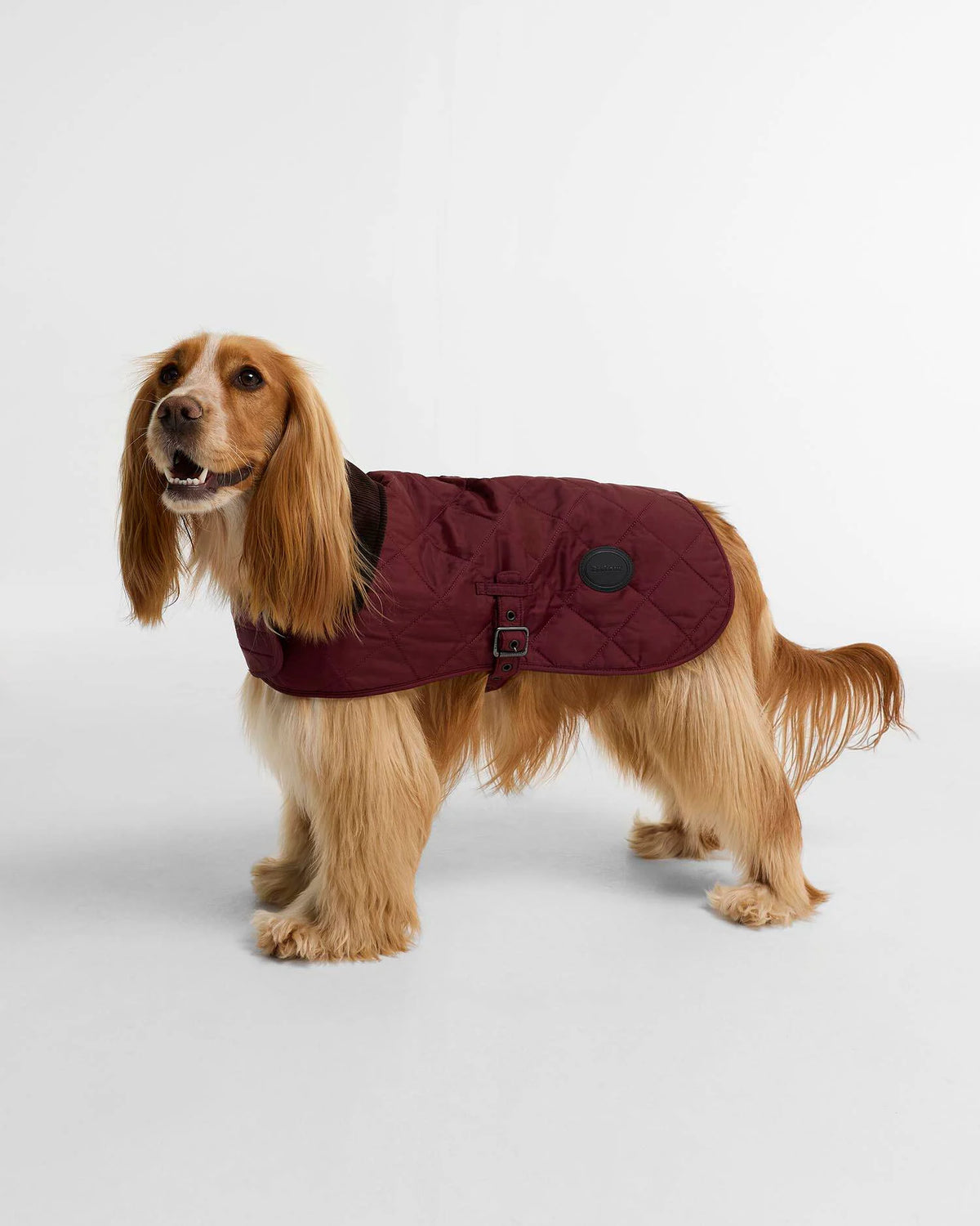 Barbour Quilted Dog Coat AW26