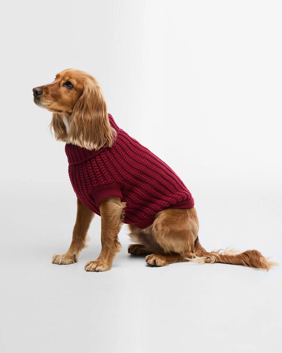 Barbour Saltburn Dog Jumper