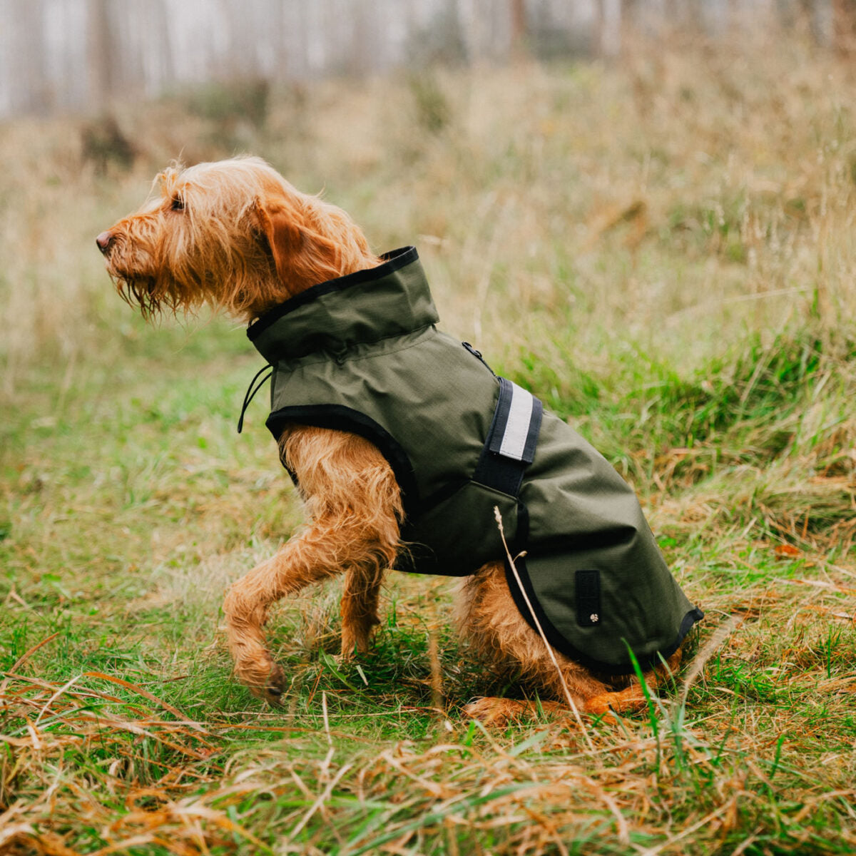 Danish Design 3-in-1 Dog Coat
