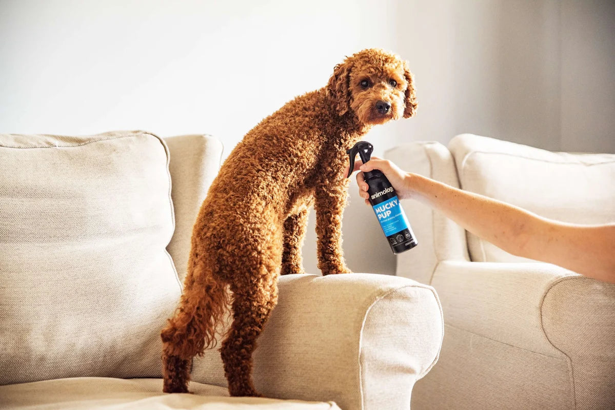 Animology Mucky Pup No Rinse Puppy Shampoo