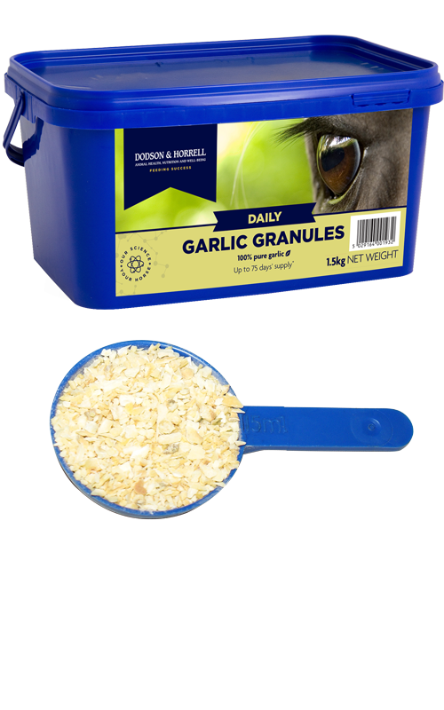 Dodson & Horrell Garlic Granules