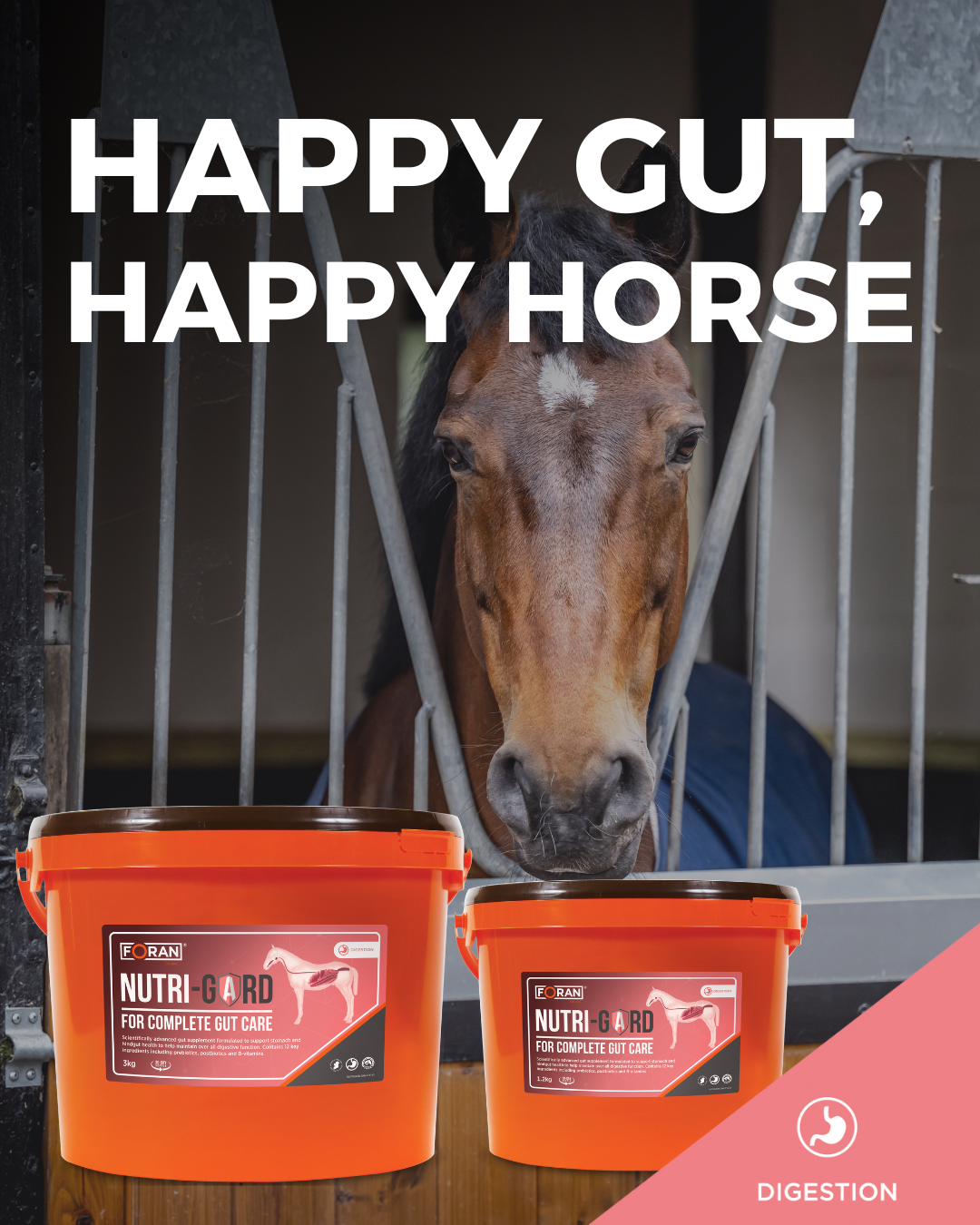 Foran Equine Nutri-Gard Complete Gut Care