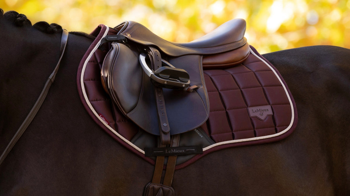LeMieux Loire Classic Close Contact Square AW25