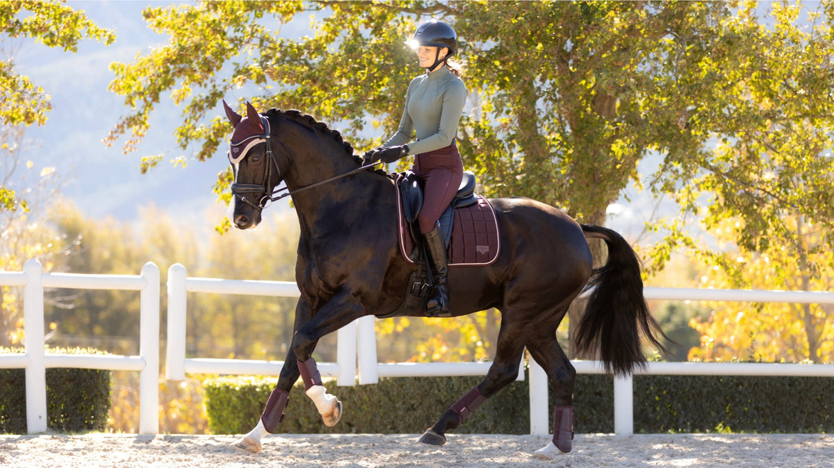 LeMieux Loire Classic Dressage Square AW25