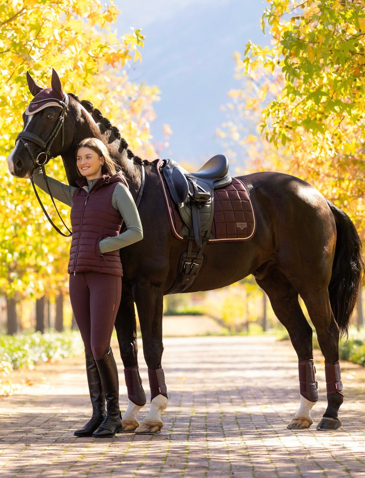 LeMieux Loire Classic Dressage Square AW25