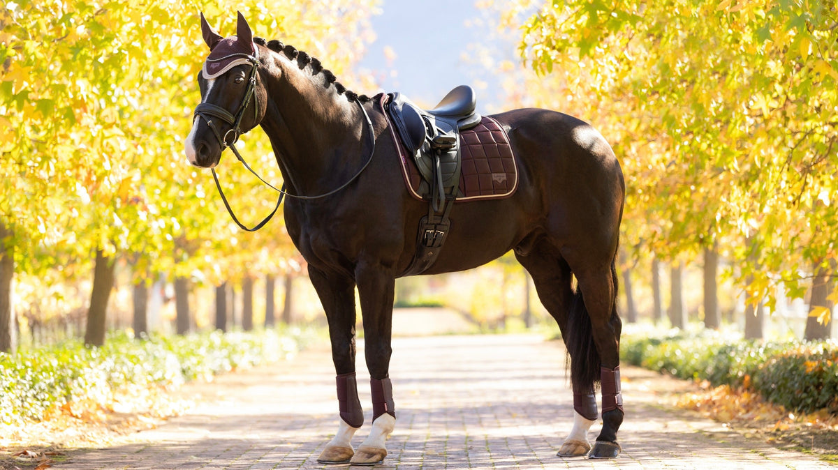LeMieux Loire Classic Dressage Square AW25