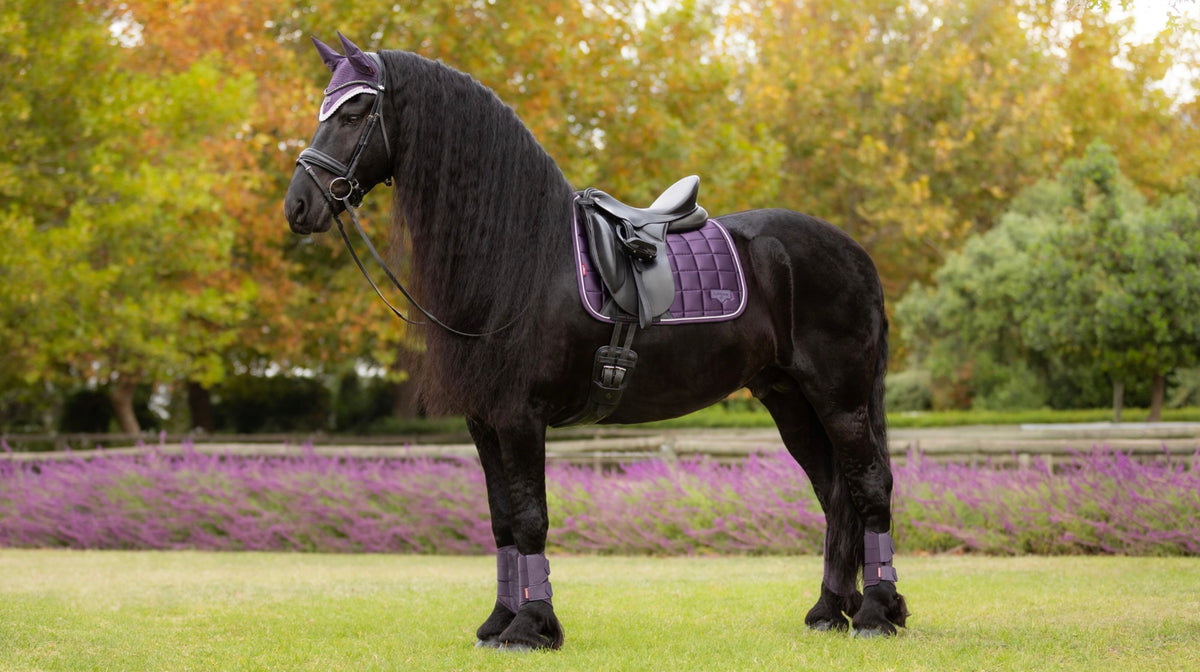 LeMieux Loire Classic Dressage Square AW25