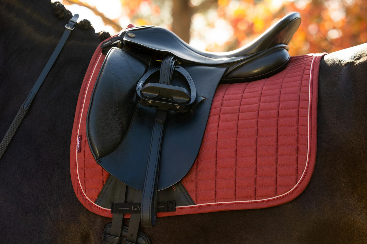LeMieux Suede Dressage Square AW26
