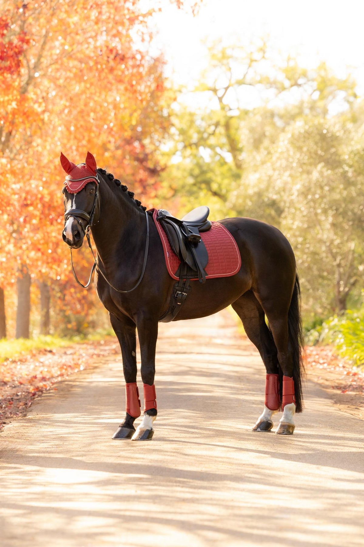 LeMieux Suede Dressage Square AW26