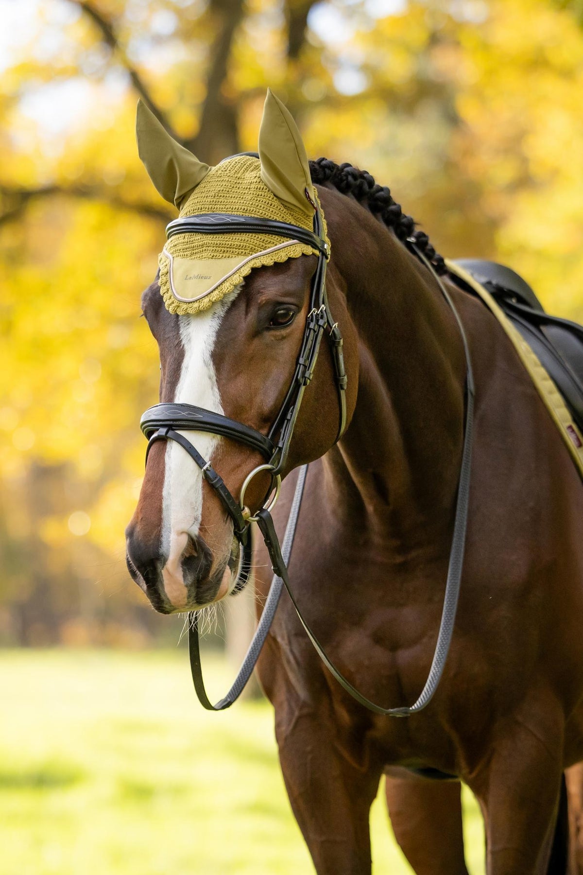LeMieux Classic Fly Hood AW26