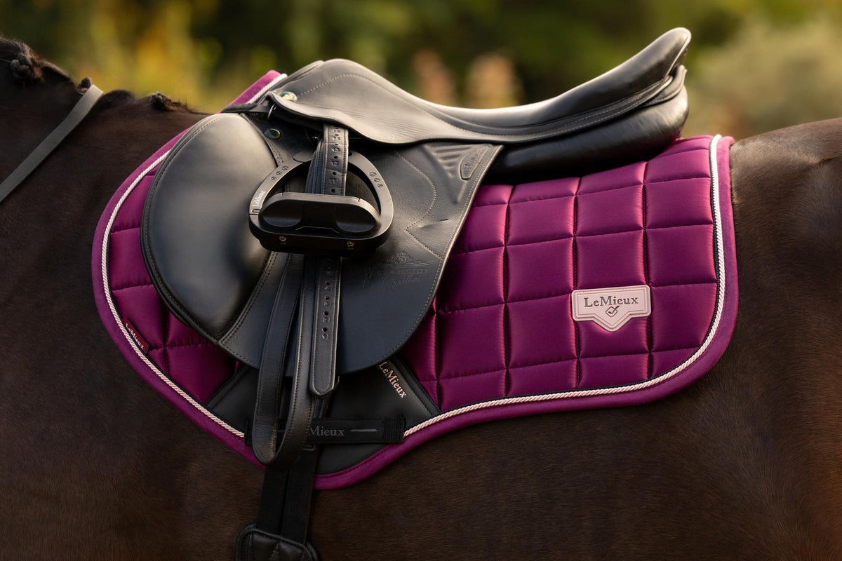 LeMieux Loire Classic CC Square AW26