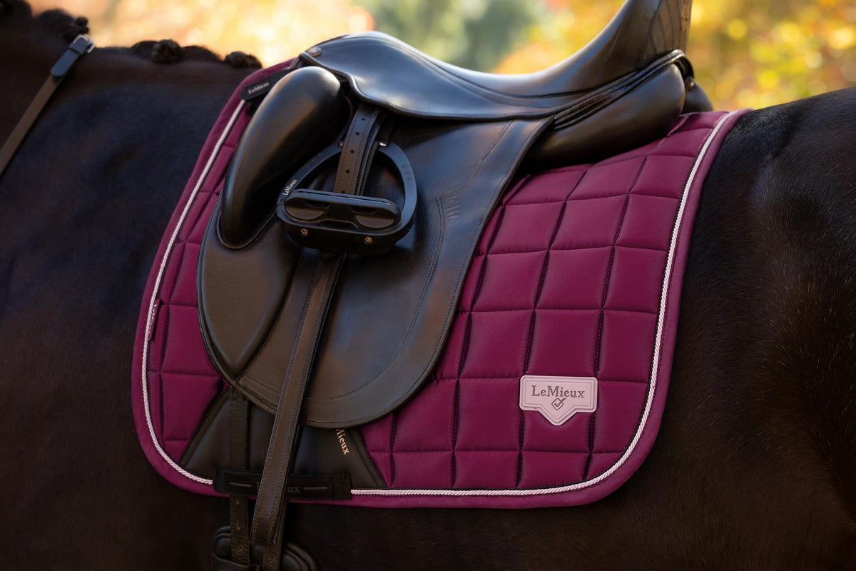 LeMieux Loire Classic Dressage Square AW26