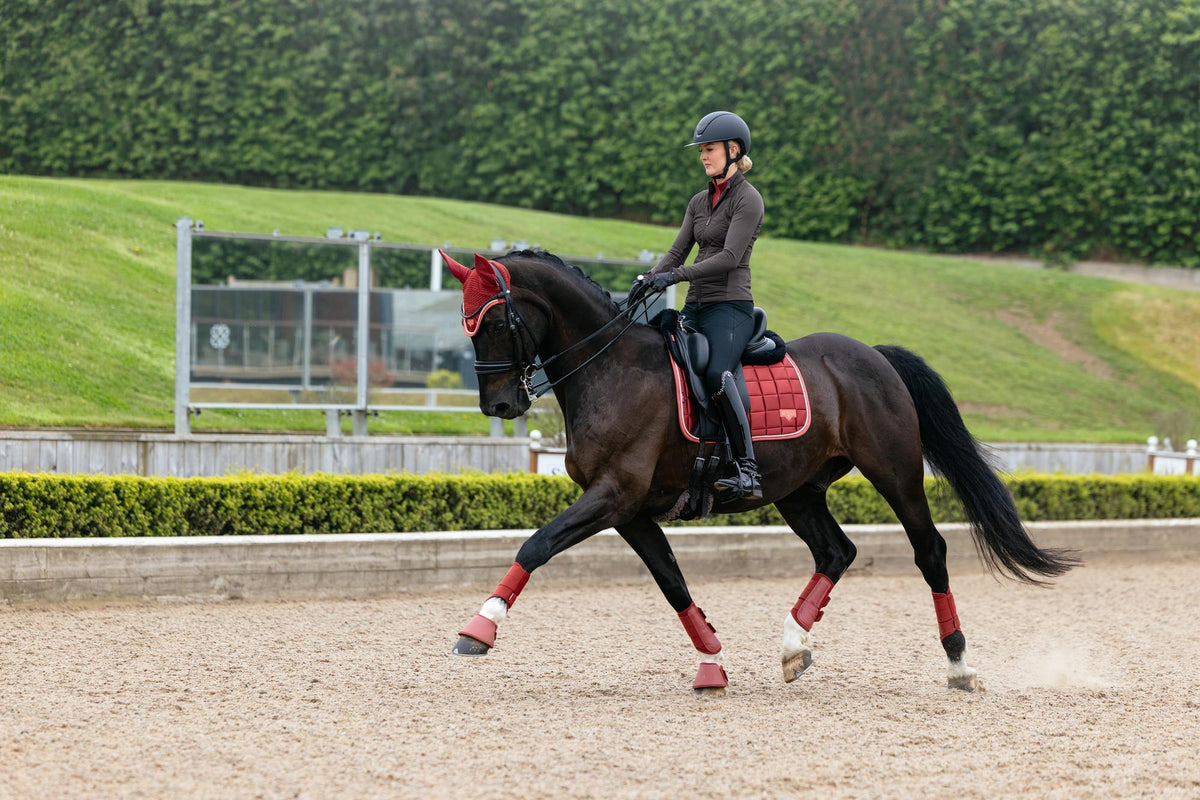 LeMieux Loire Classic Dressage Square AW26