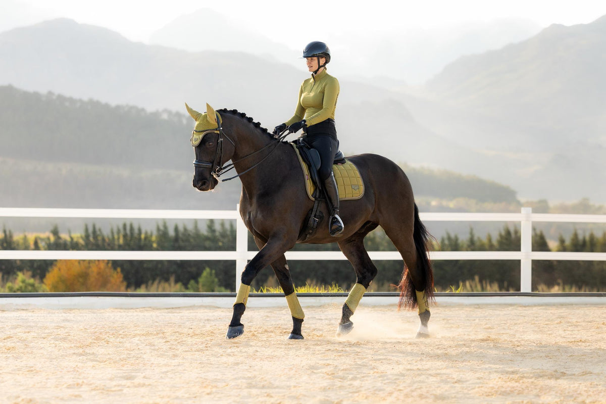 LeMieux Loire Classic Dressage Square AW26
