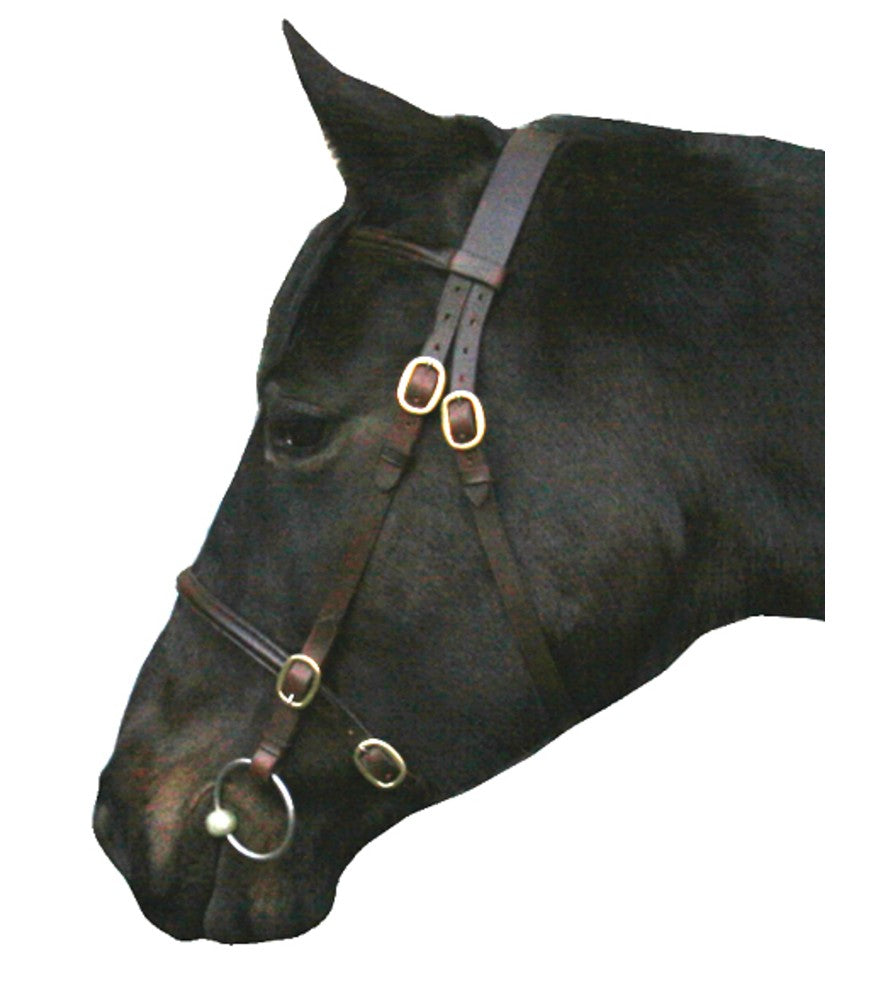 IV Horse Inhand Bridle