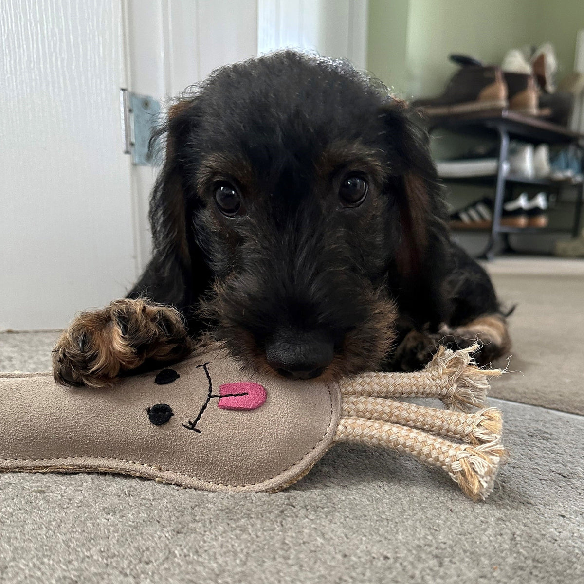 Green & Wild's Lenny Leek ECO Dog Toy
