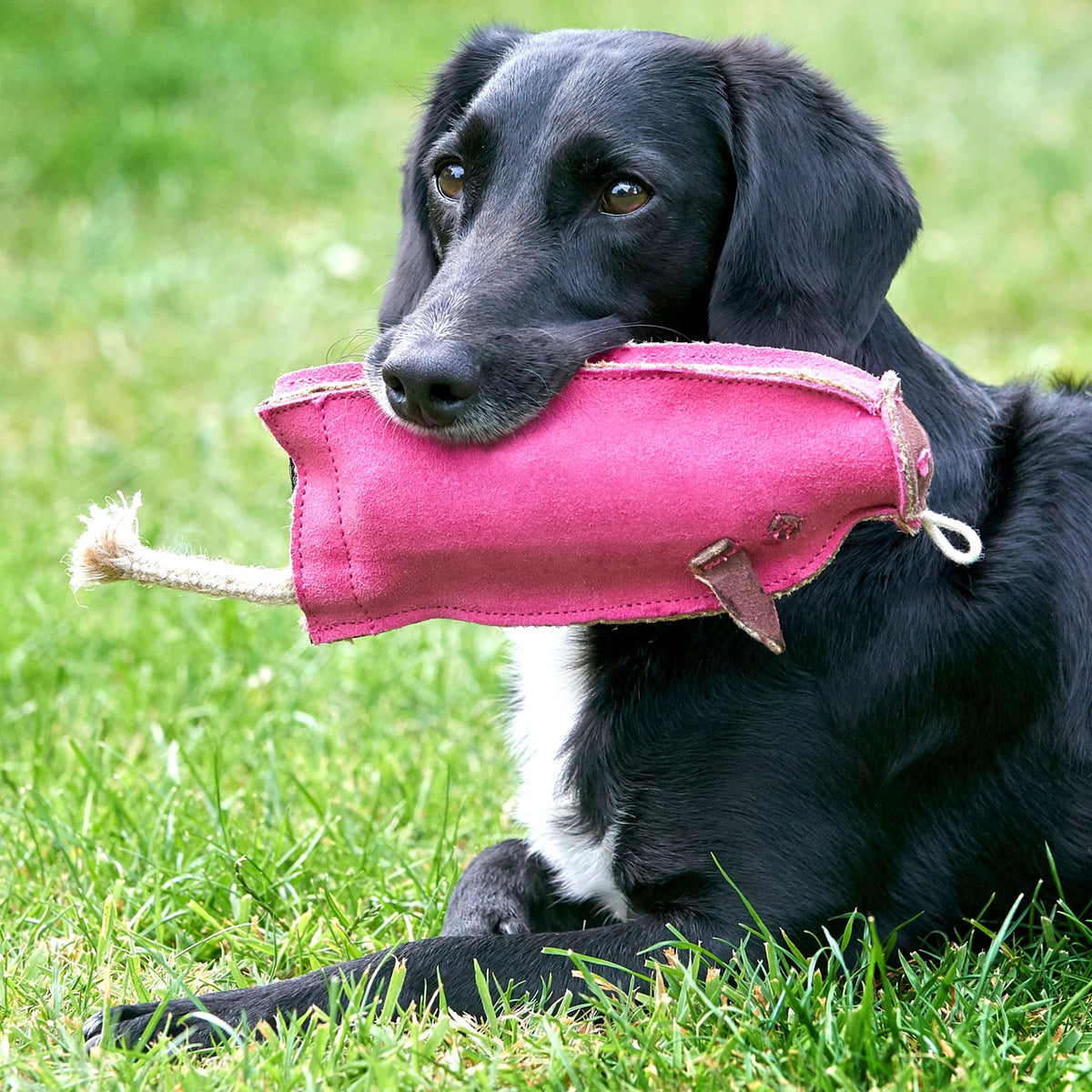 Green & Wild's Peggy The Pig ECO Dog Toy