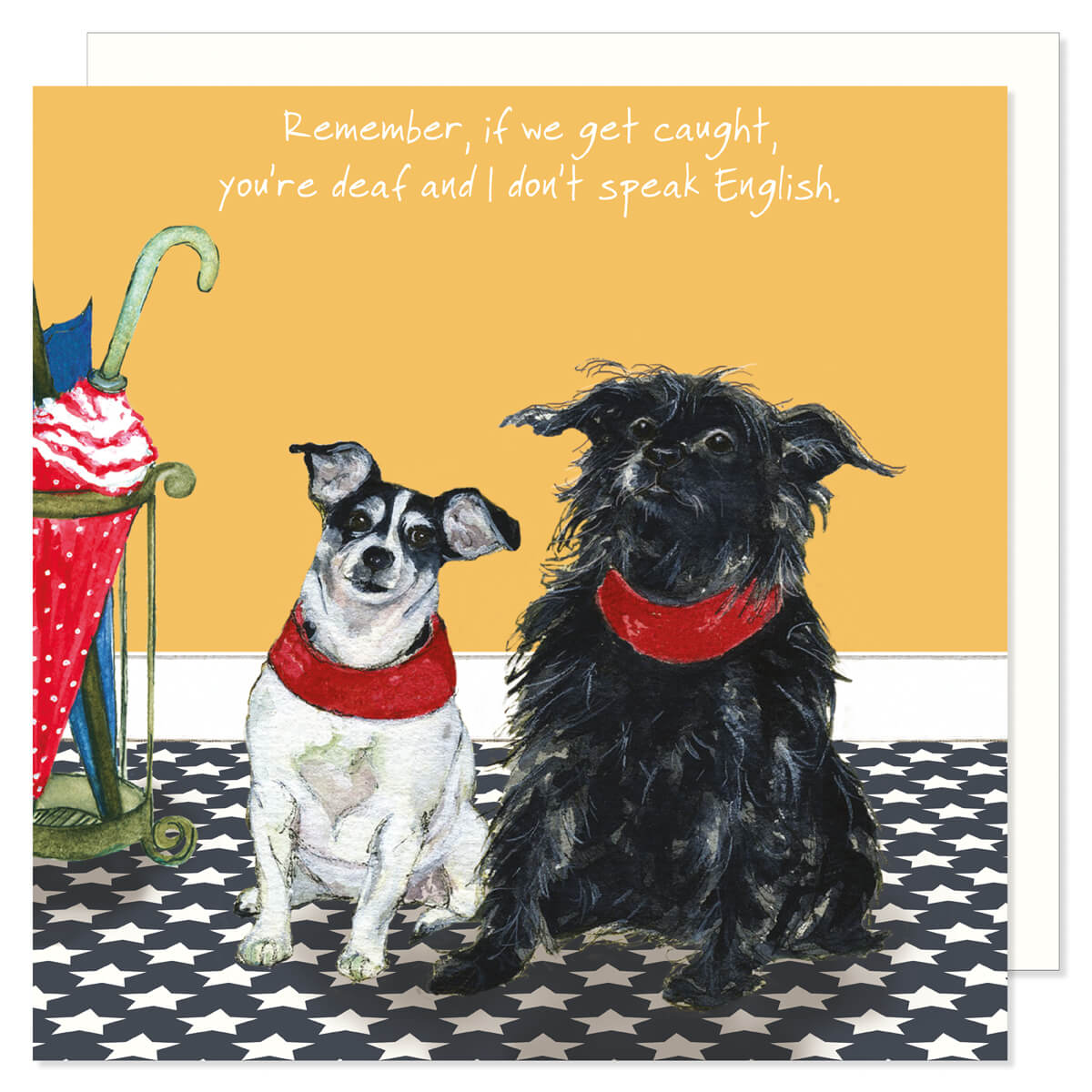 The Little Dog Laughed - The Digs&Manor Collection - Sqaure