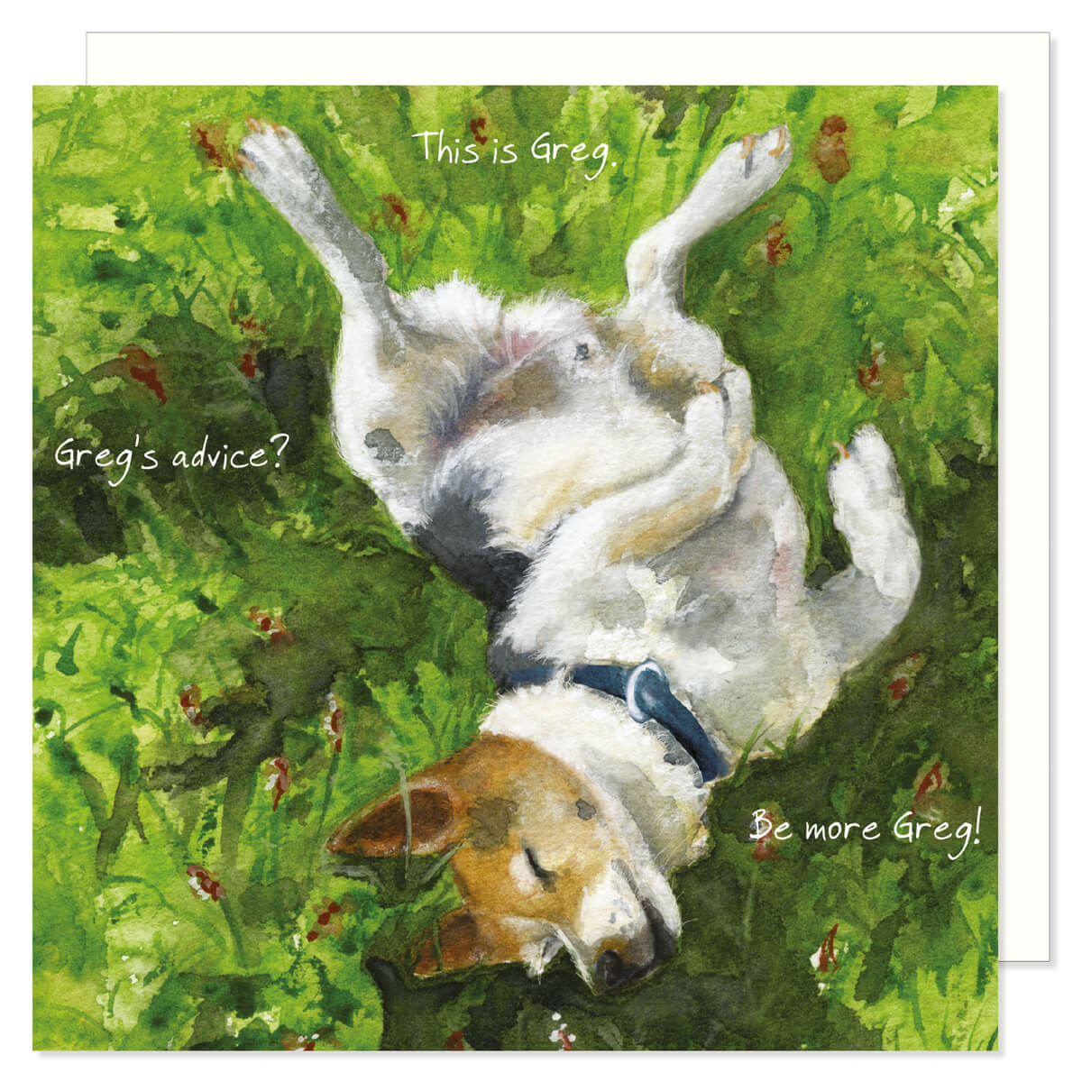 The Little Dog Laughed - The Digs&Manor Collection - Sqaure