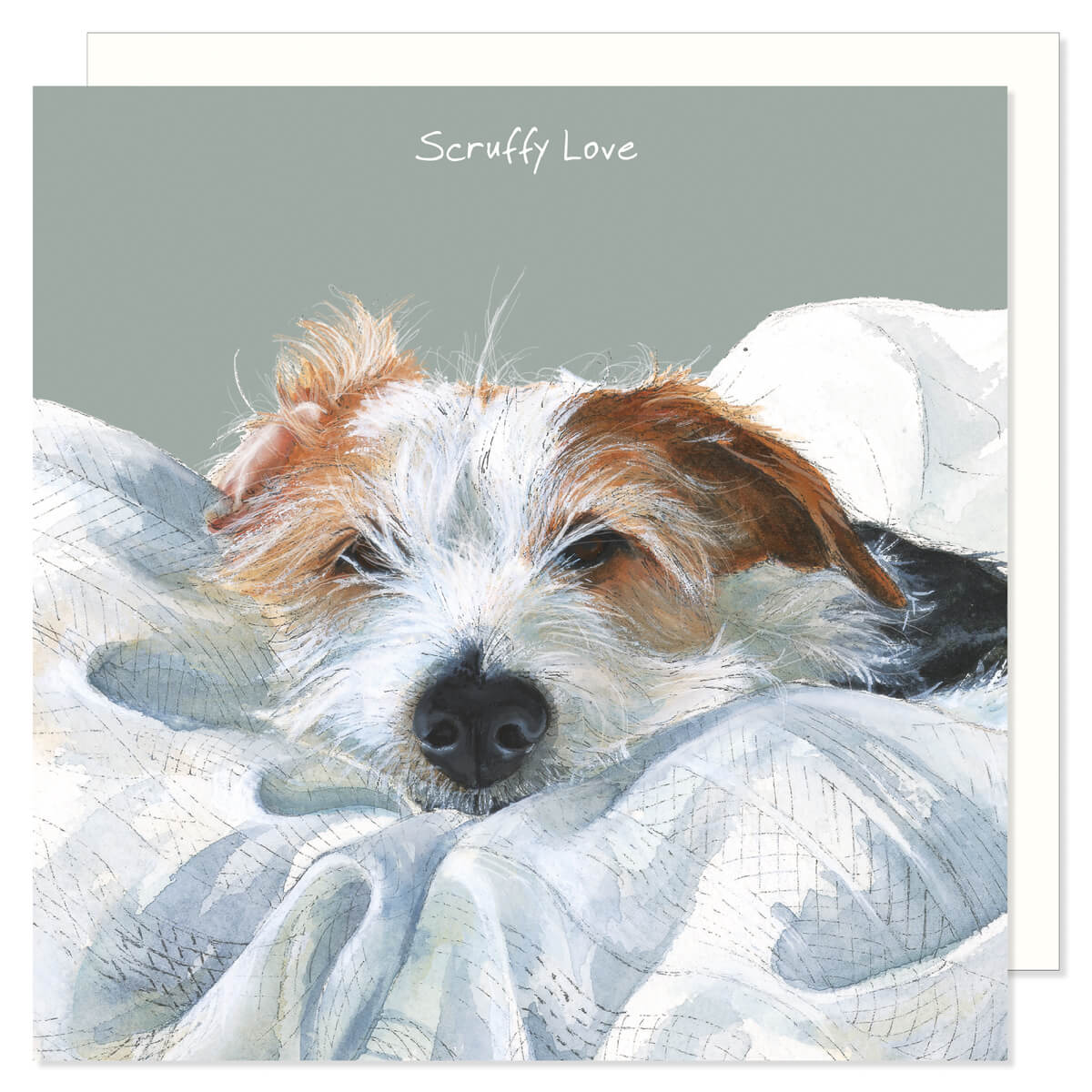 The Little Dog Laughed - The Digs&Manor Collection - Sqaure