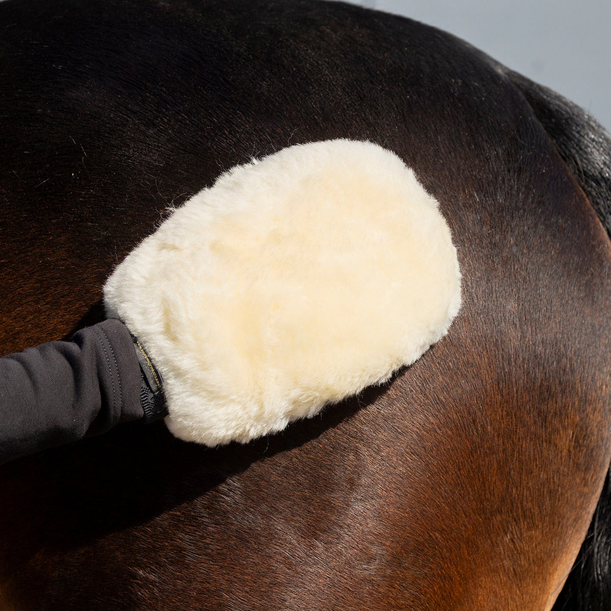 Supreme Products Sheepskin Perfection Grooming Mitt
