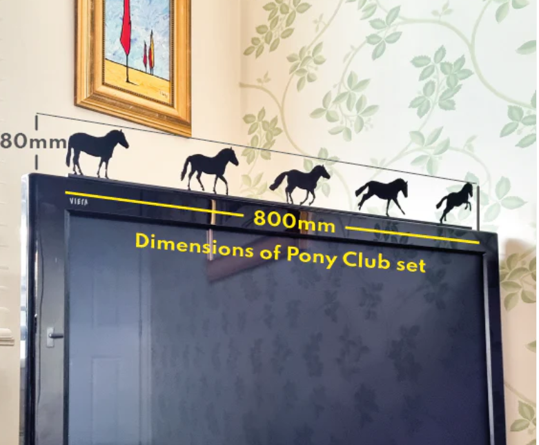 ShadowShapes Pony Club Series