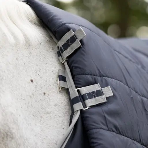 LeMieux Arika Storm-Tek Rug 100g