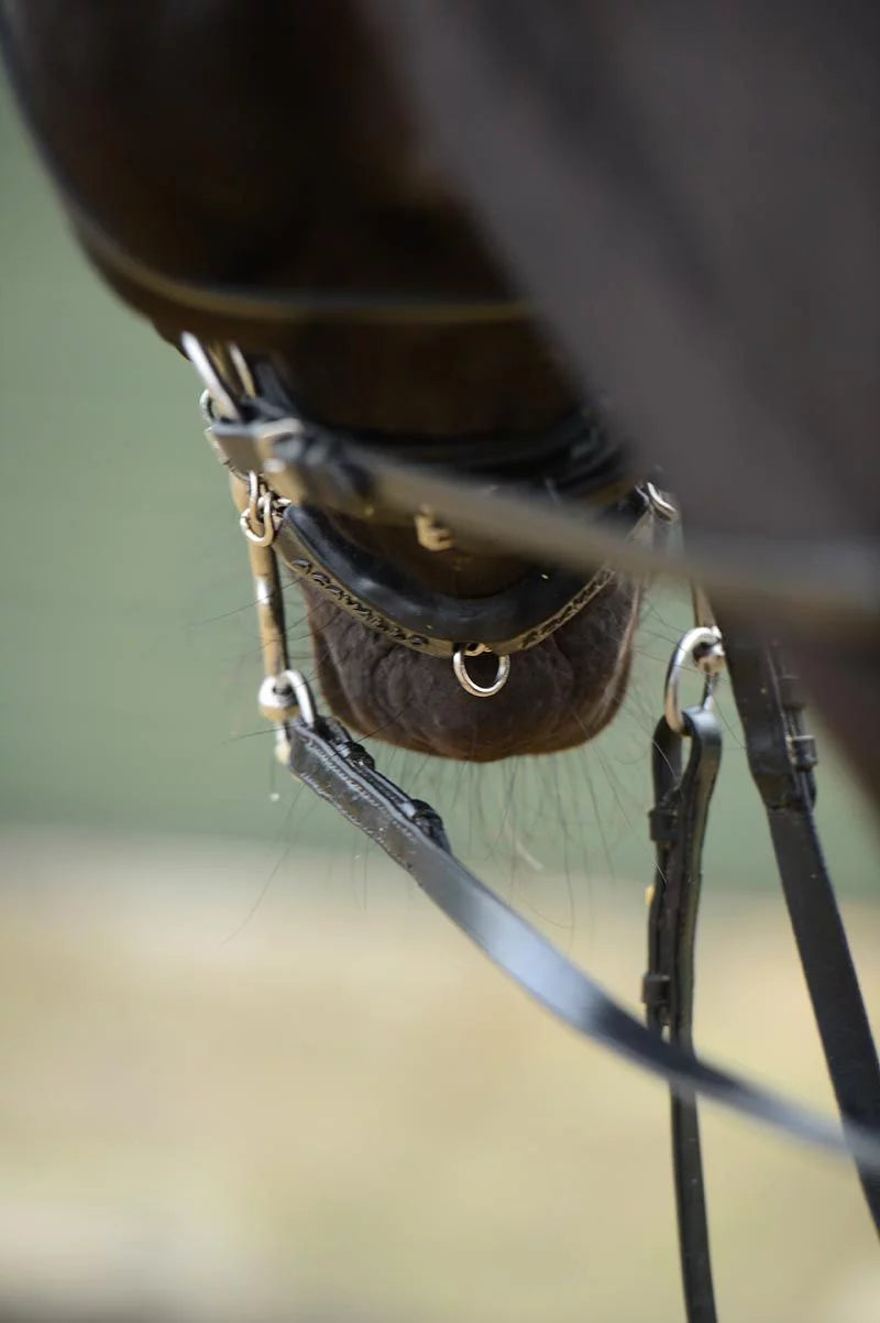 Acavallo Gel Chain Guard