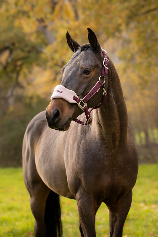 LeMieux Vogue Headcollar & Leadrope AW26